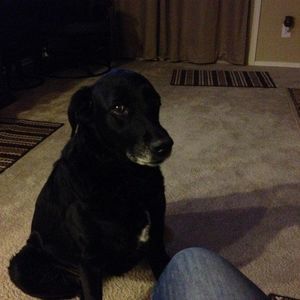 Meet your Posher, Caleb